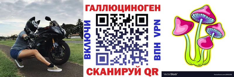 купить   Черноголовка  Псилоцибиновые грибы ЛСД 